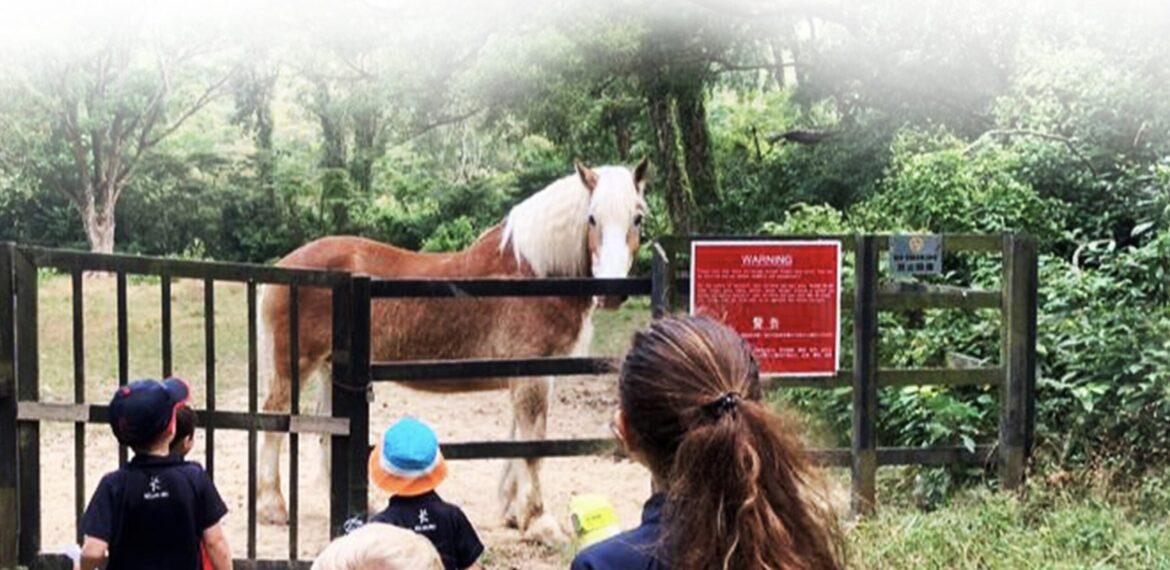 Hkila.3rd.slide.01-min