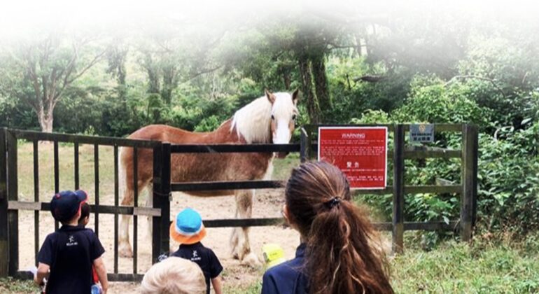 Hkila.3rd.slide.01-min