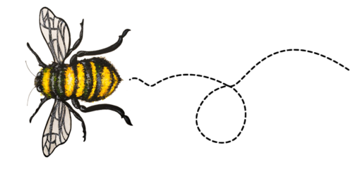 bee-img-a3