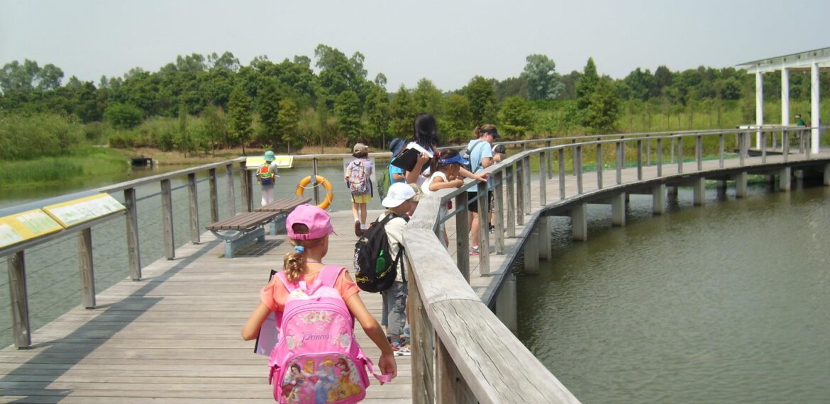 194747_10151211181296535_1467917487_o